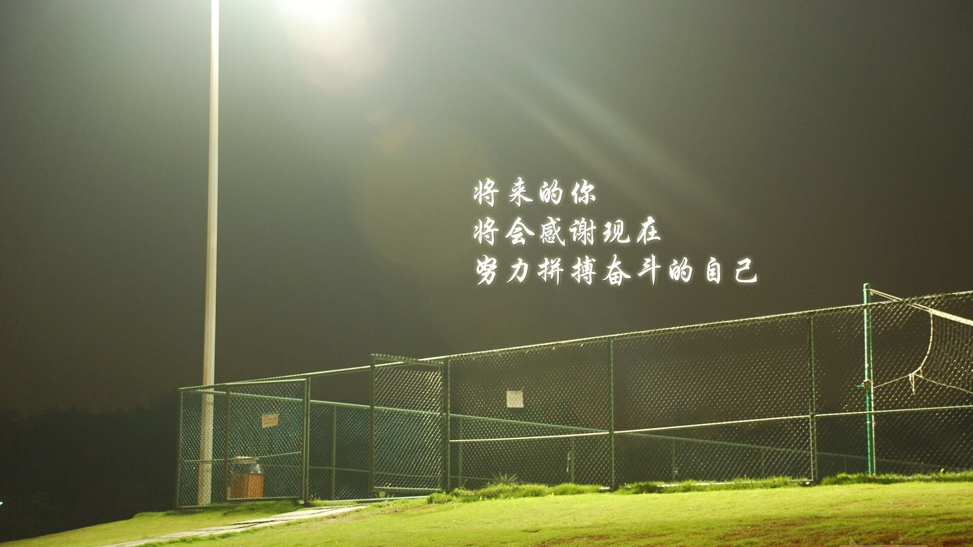 开云中国-南安普顿新援融入迅速，提升球队实力，南安普顿引援
