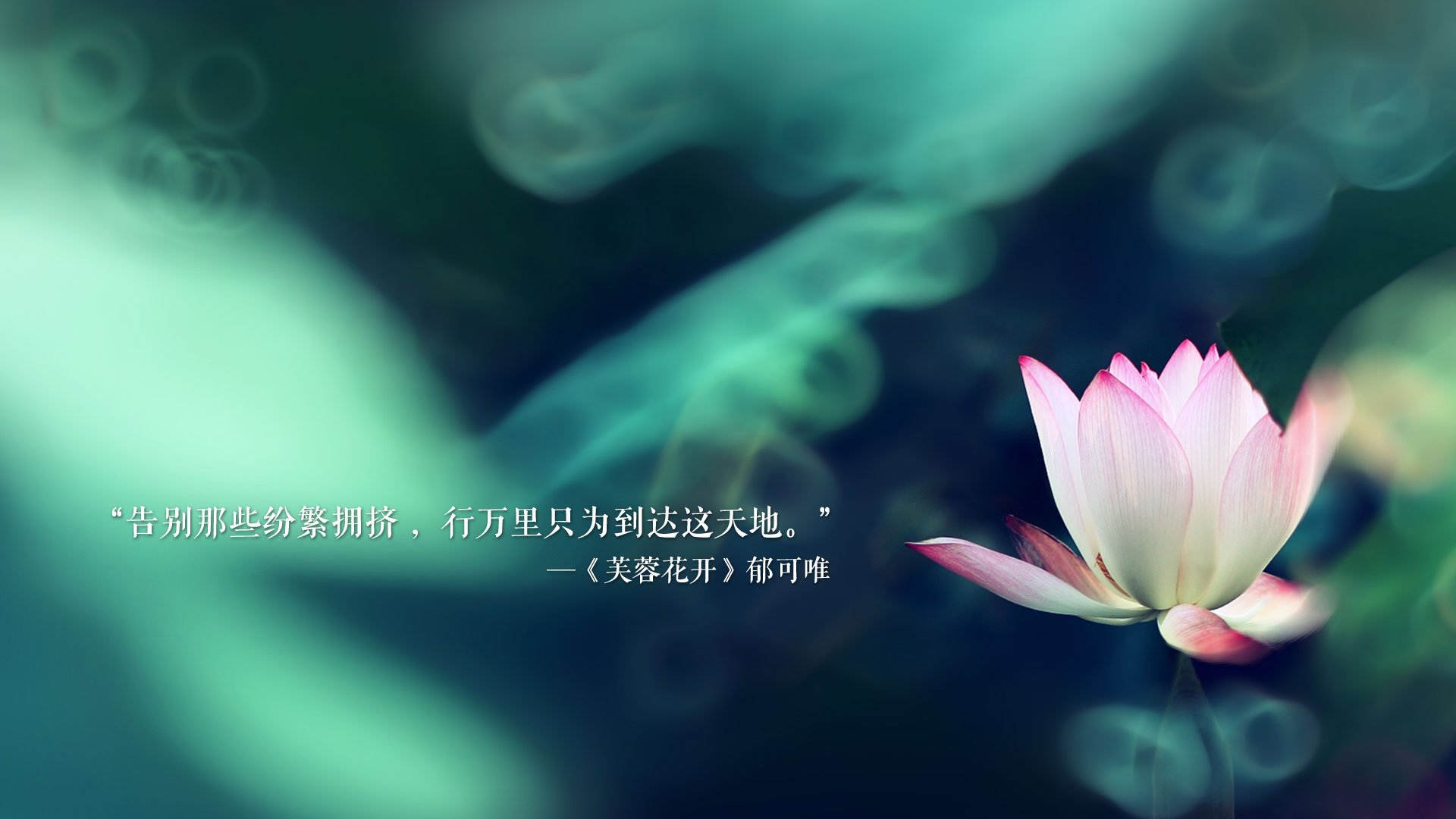 开云体育APP下载-完美赛季落幕，选手光芒熠熠，完美赛事