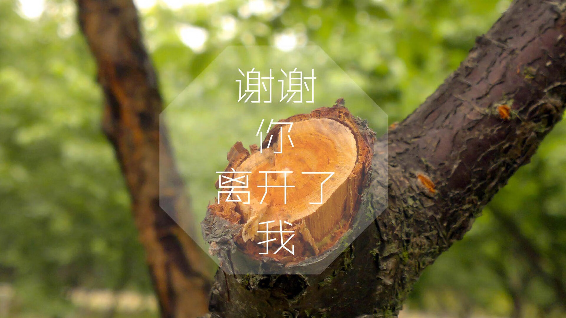 KAIYUN 中国大陆-独行侠击败步行者，抢七大战中东契奇连续抢断建功，独行侠选中东契奇