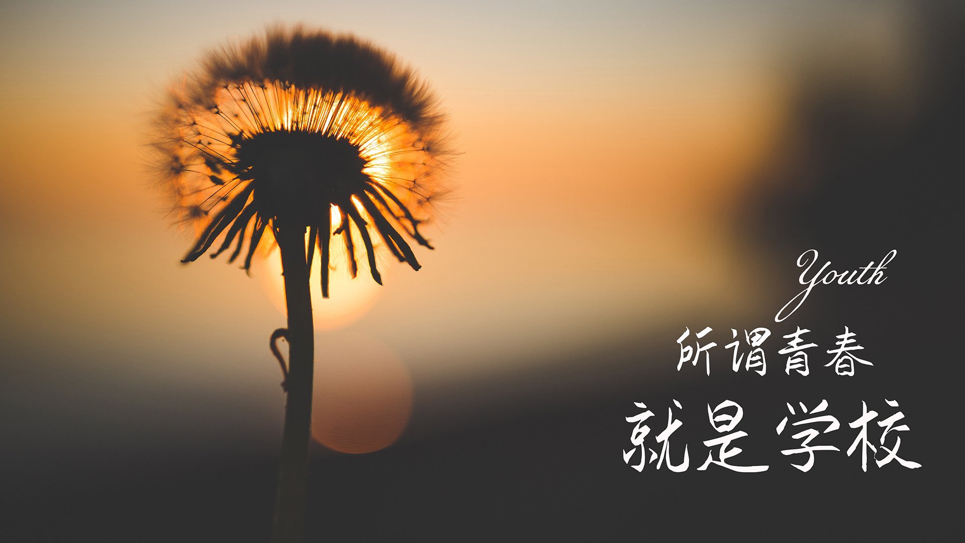 开云kaiyun-NBA联盟跨季转会制度对球队稳定性的影响，新赛季nba转会