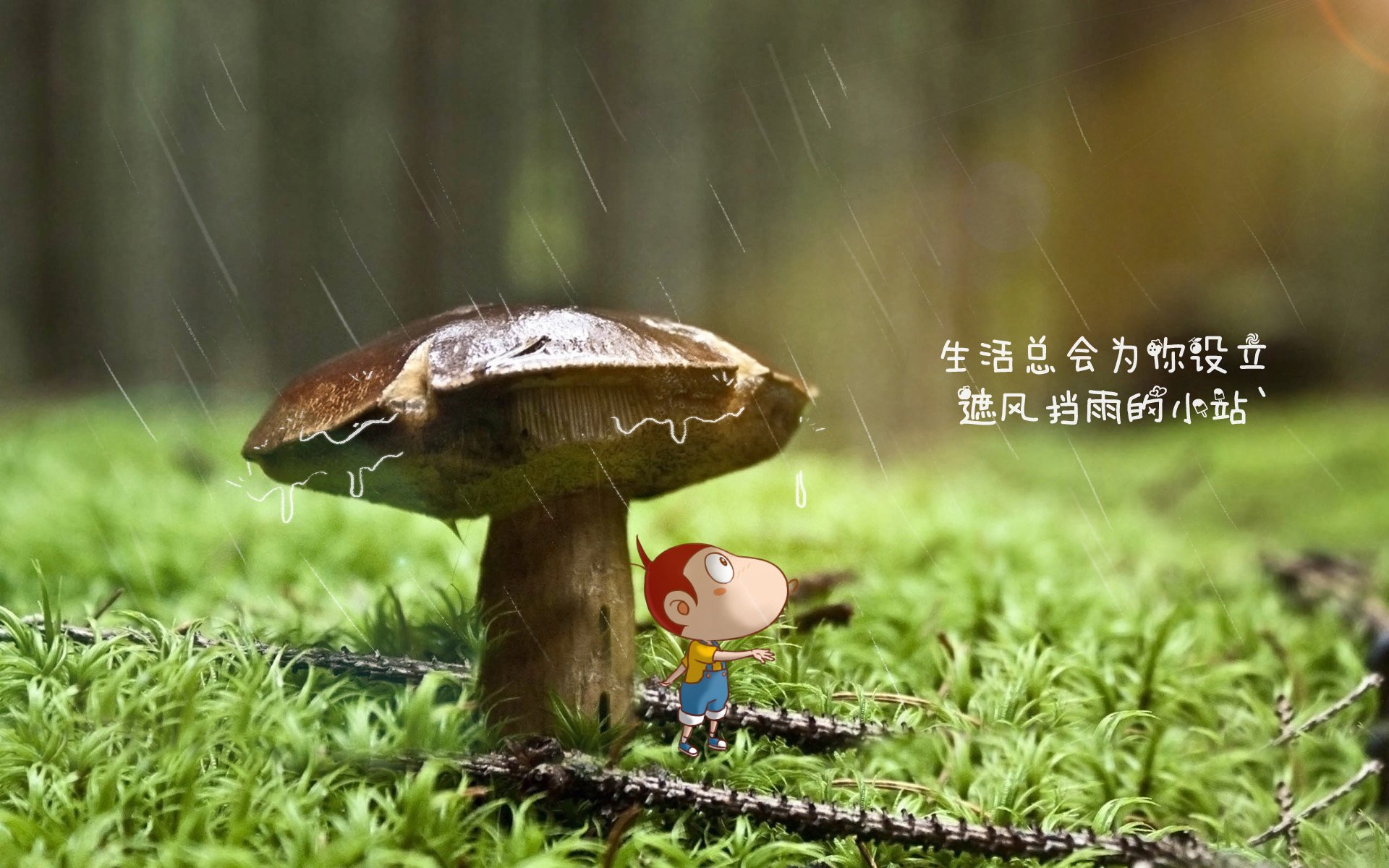 中国篮球联赛观众消费行为特征分析研究，篮球用户群体分析