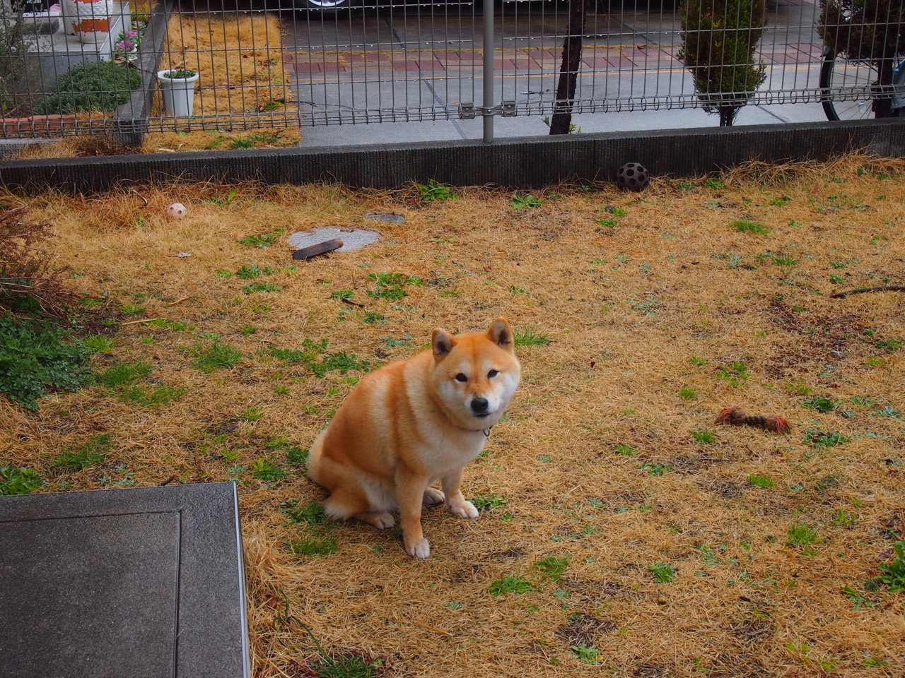 开云kaiyun-运动科技与可视化训练系统深度融合，运动技术全景分析