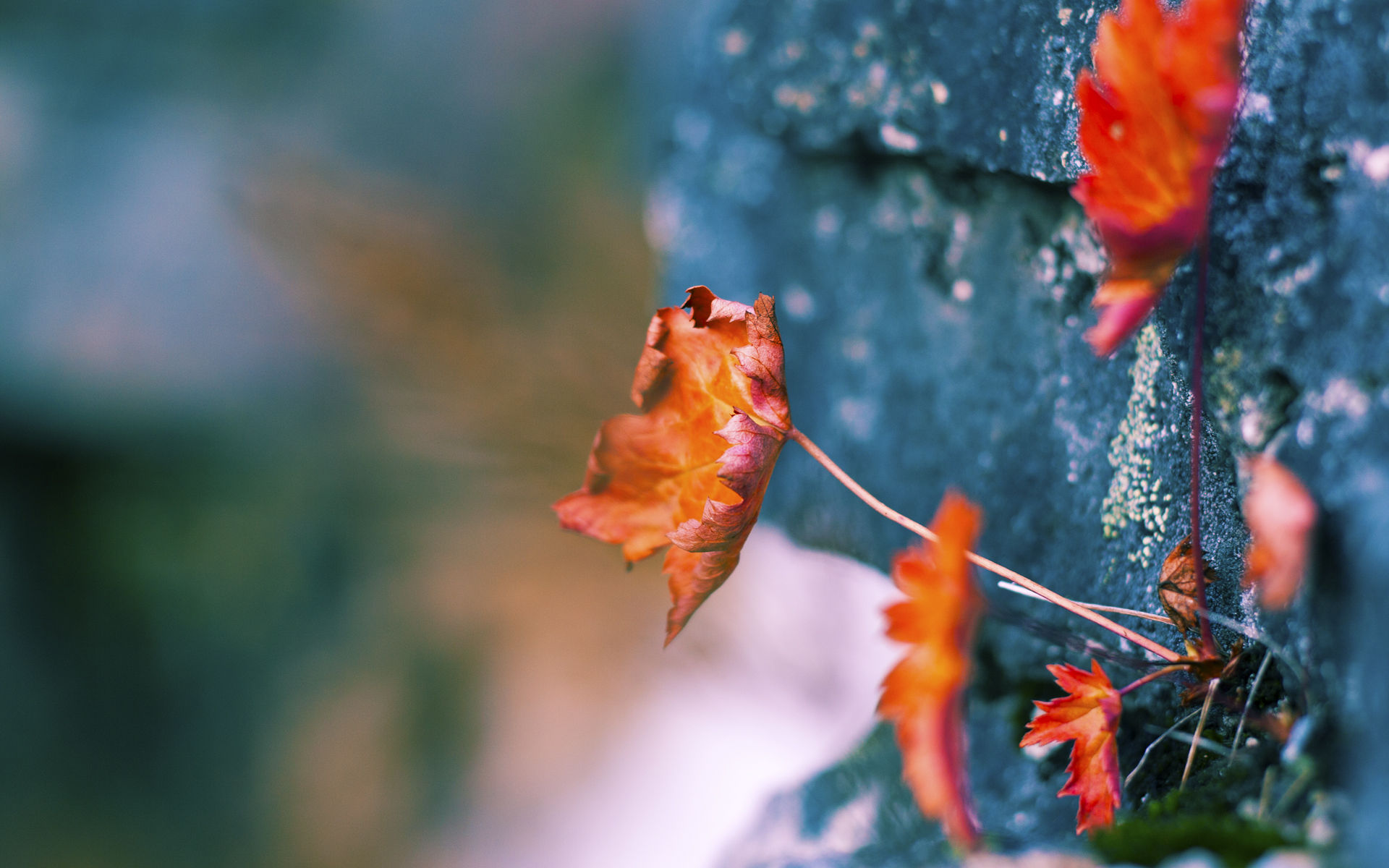 水球战术创新带动整体表现提升，水球技术